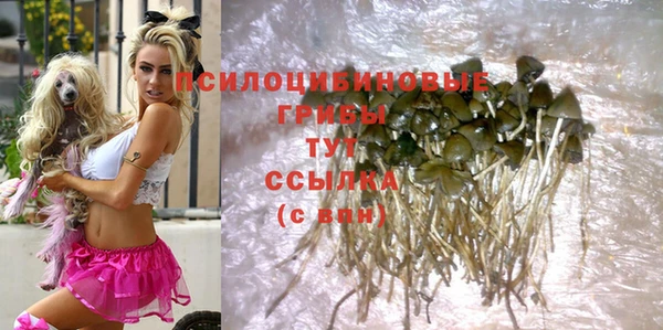 винт Аркадак