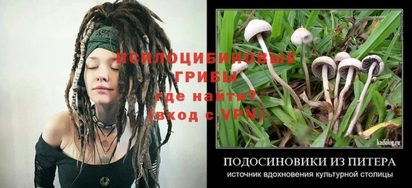 винт Аркадак