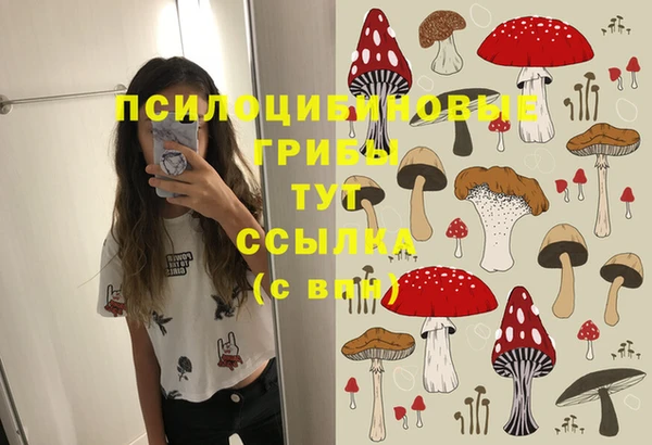 2c-b Армянск
