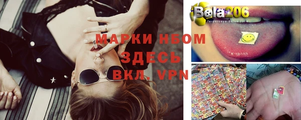винт Аркадак