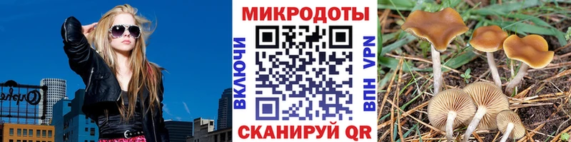 Галлюциногенные грибы Psilocybe  маркетплейс как зайти  Казань 