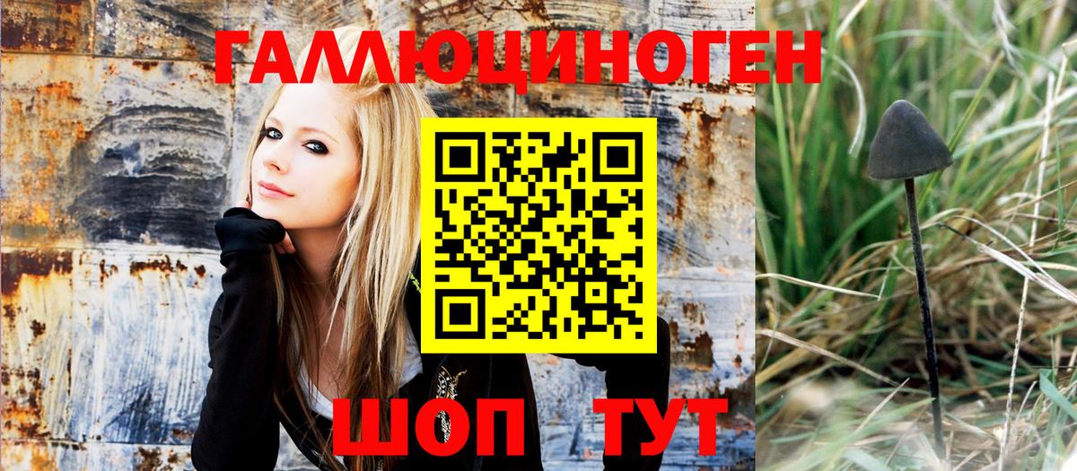 Казань  закладки  Галлюциногенные грибы Psilocybe  Вход с VPN  Галлюциногенные грибы Magic Shrooms 