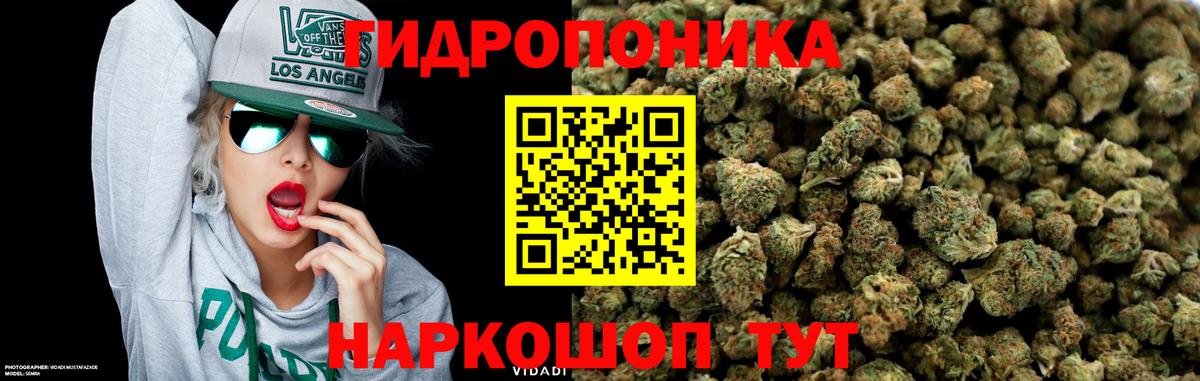 Конопля тримм  Конопля марихуана  Бошки марихуана THC 21%  Казань  Вход с VPN 
